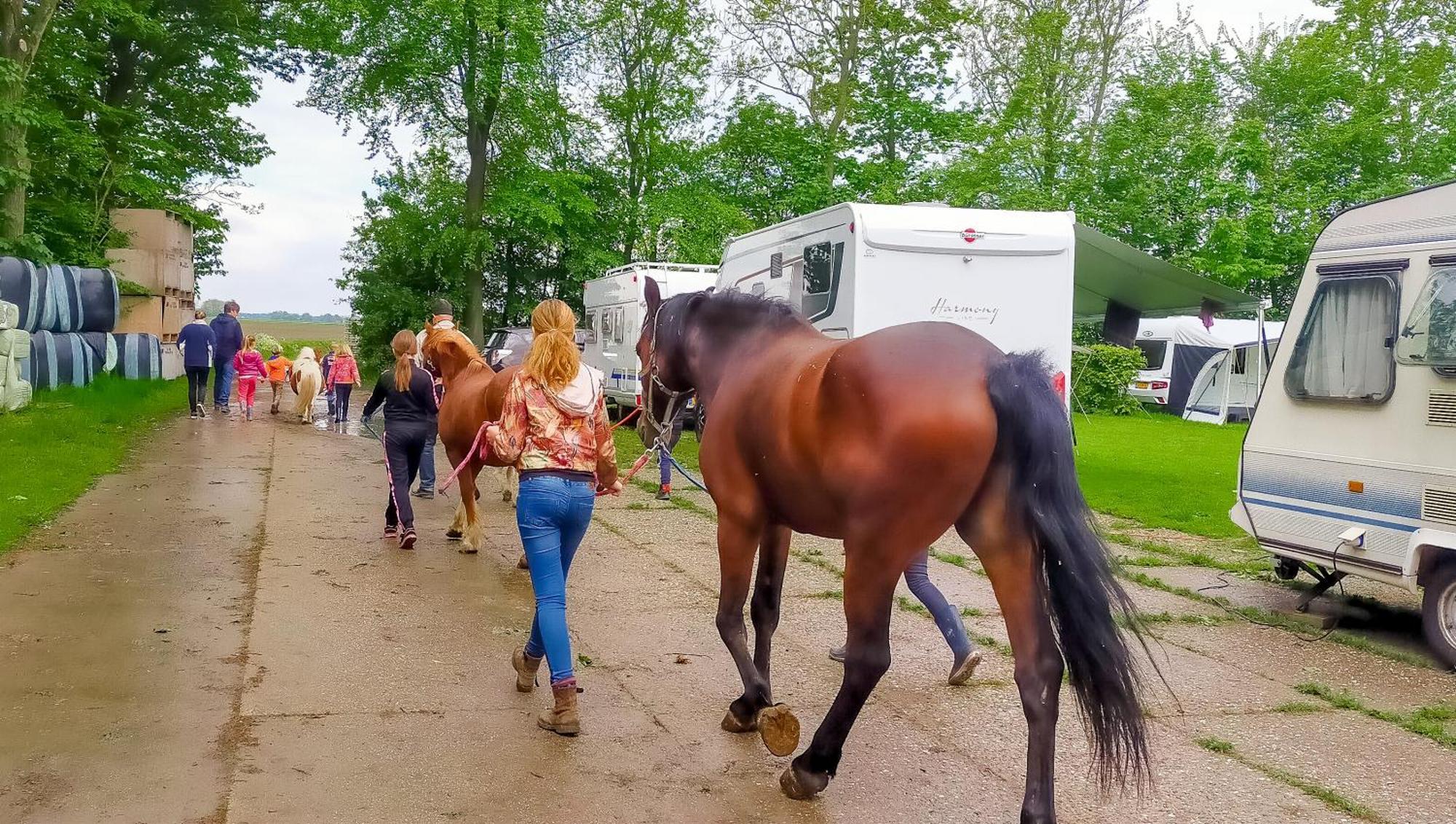 Boerderijcamping De Hinde Dronten Esterno foto